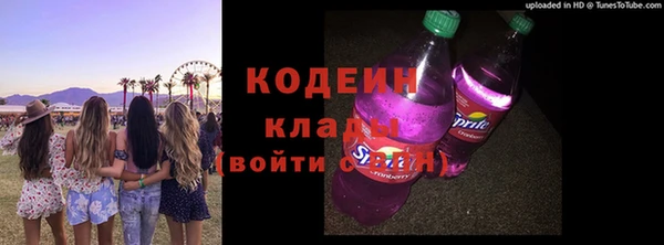 индика Лиски