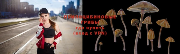 твердый Лихославль