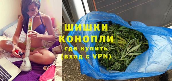PSILOCYBIN Липки