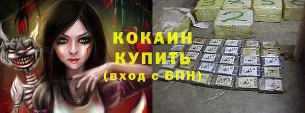индика Лиски