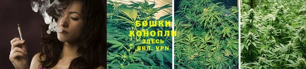 индика Лиски