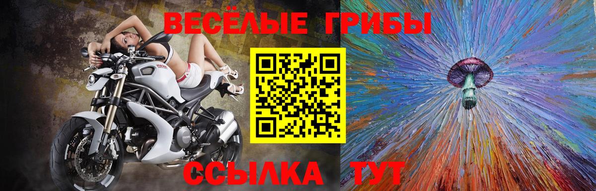Иваново  Псилоцибиновые грибы Psilocybe  Псилоцибиновые грибы прущие грибы  Вход с VPN 
