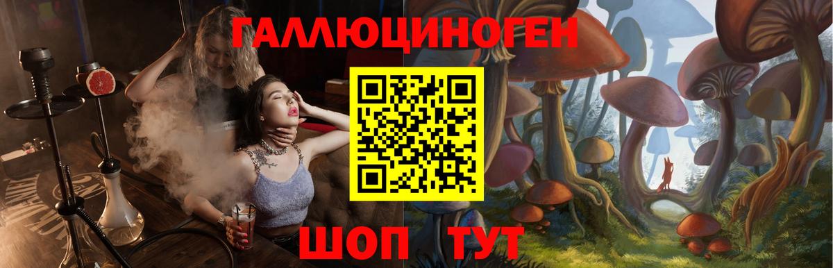 Галлюциногенные грибы Psilocybine cubensis  Иваново  Псилоцибиновые грибы Magic Shrooms 